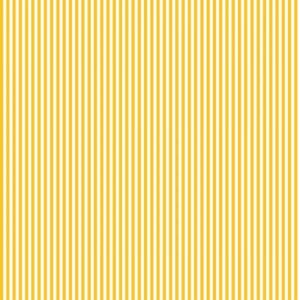 Stripe 1/8 Inch Color MUSTARD