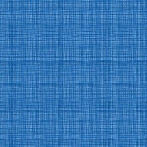 Riley Blake Designs Texture In Color Bluebird C610