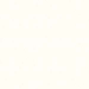 Riley Blake Designs Texture In Color Cream C610R