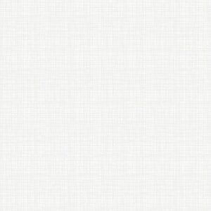 Riley Blake Designs Texture In Color White C610R