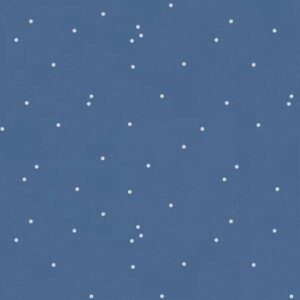 Dainty Daisy Color Denim