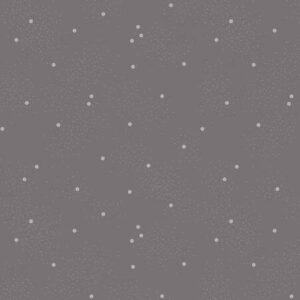 Riley Blake Designs Dainty Daisy Iron C665R