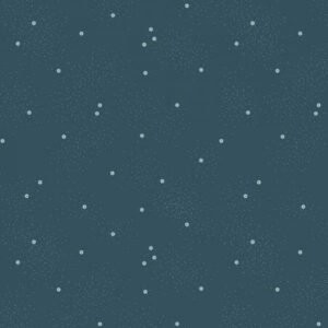 Dainty Daisy Stargazer