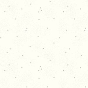 Riley Blake Designs Dainty Daisy Gray C700R