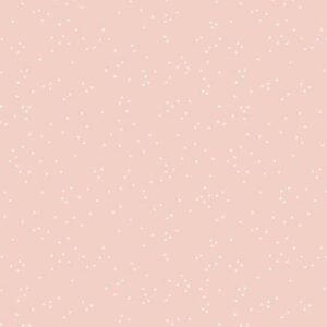 Riley Blake Designs Blossoms In Color Peachesncream C715R