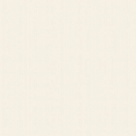 Riley Blake Designs Poparazzi In Color Cream C805R