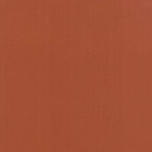 Moda Bella Solids Spice 9900 293