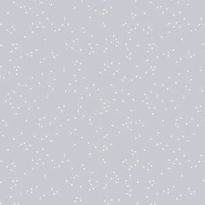 Riley Blake Designs Blossoms In Color Silver C715R