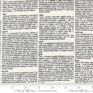 Moda Graze Newsprint Vanilla 55604 11